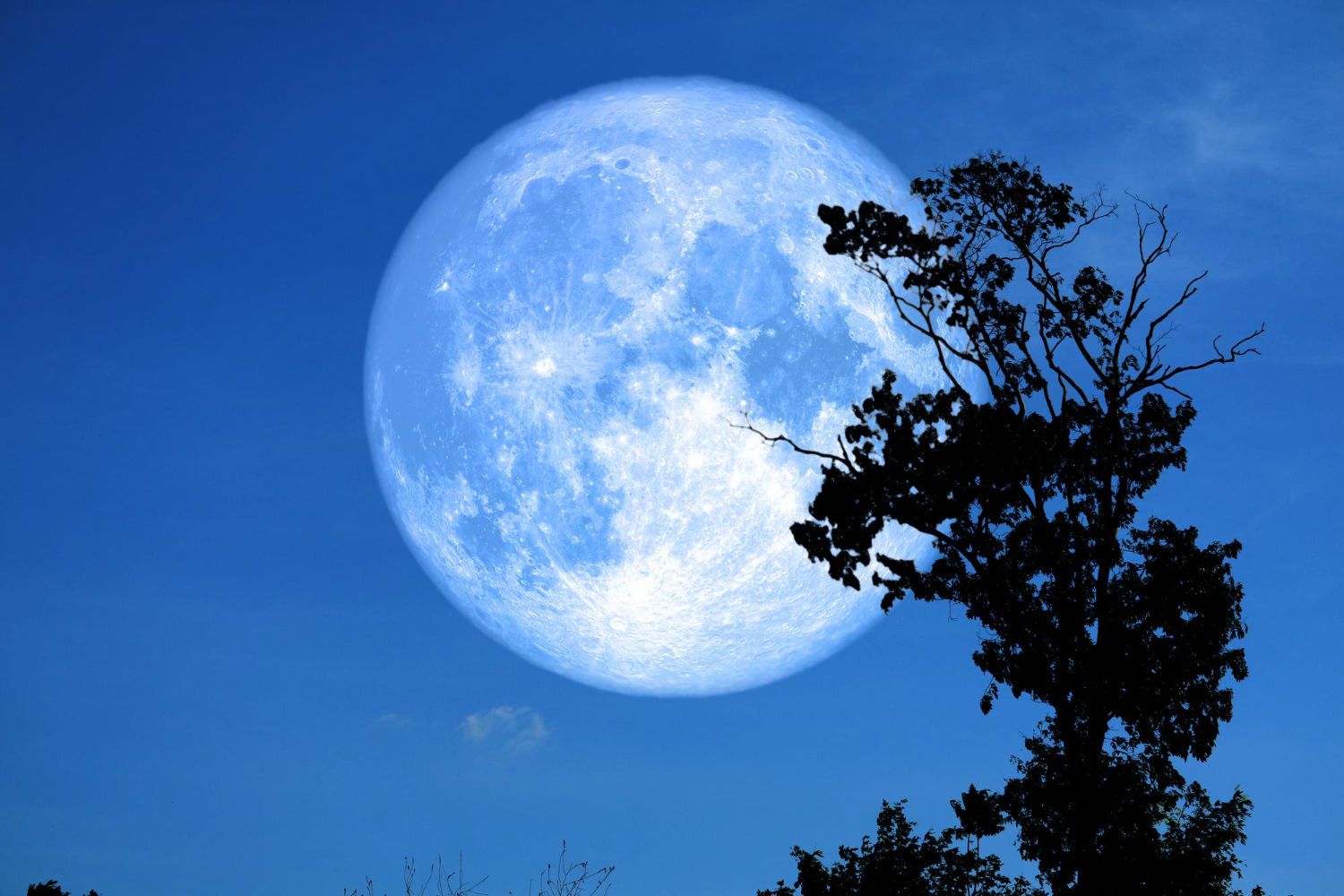 Why Cleanse During the Full Moon